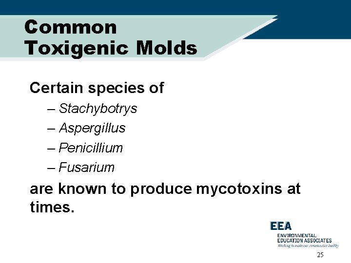 Common Toxigenic Molds Certain species of – Stachybotrys – Aspergillus – Penicillium – Fusarium
