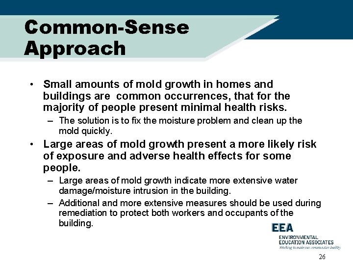 Common-Sense Approach • Small amounts of mold growth in homes and buildings are common
