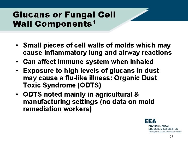 Glucans or Fungal Cell Wall Components 1 • Small pieces of cell walls of