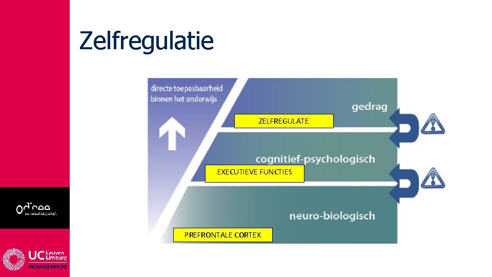 Zelfregulatie ZELFREGULATE EXECUTIEVE FUNCTIES PREFRONTALE CORTEX 