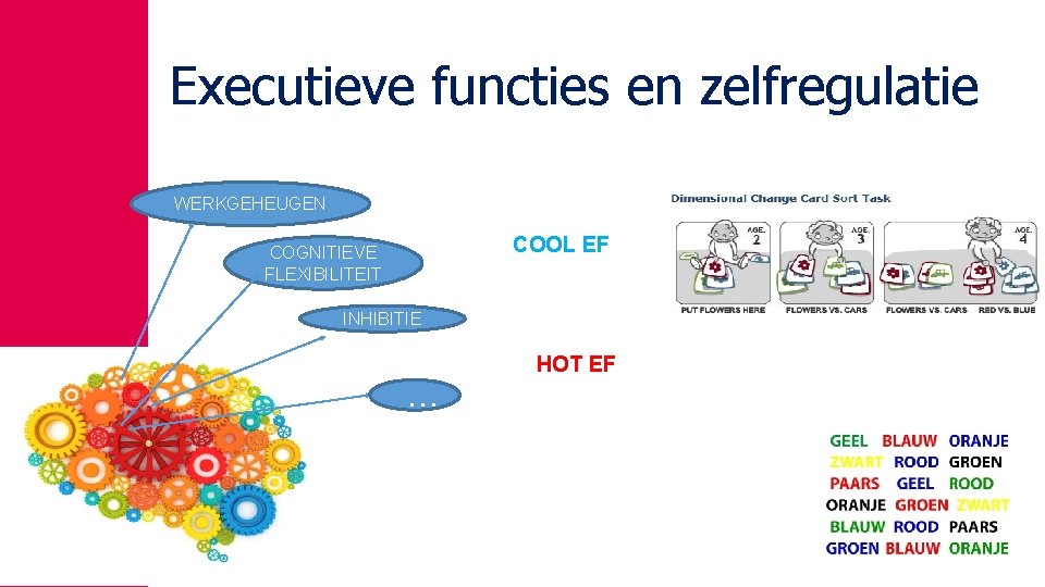 Executieve functies en zelfregulatie WERKGEHEUGEN COOL EF COGNITIEVE FLEXIBILITEIT INHIBITIE … HOT EF 