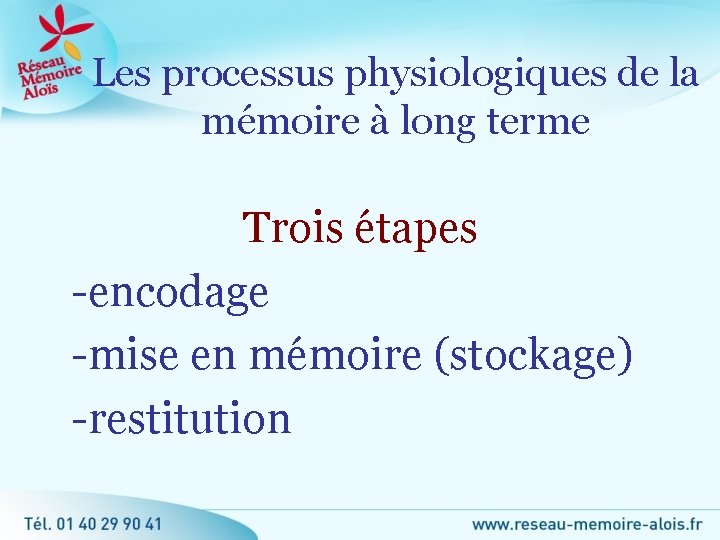Les processus physiologiques de la mémoire à long terme Trois étapes -encodage -mise en