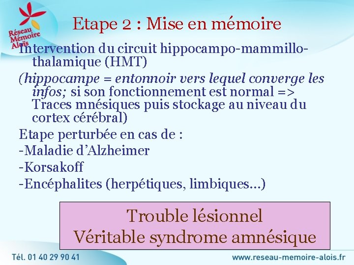 Etape 2 : Mise en mémoire Intervention du circuit hippocampo-mammillothalamique (HMT) (hippocampe = entonnoir