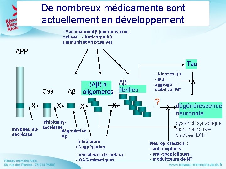 De nombreux médicaments sont actuellement en développement - Vaccination Aβ (immunisation active) - Anticorps