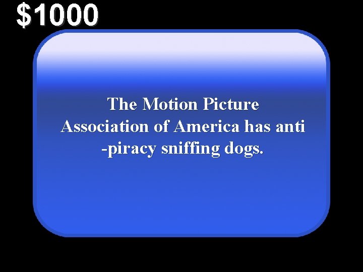 $1000 The Motion Picture Association of America has anti -piracy sniffing dogs. 
