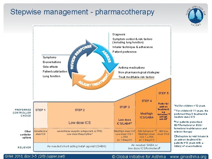 Stepwise management - pharmacotherapy Diagnosis Symptom control & risk factors (including lung function) Inhaler