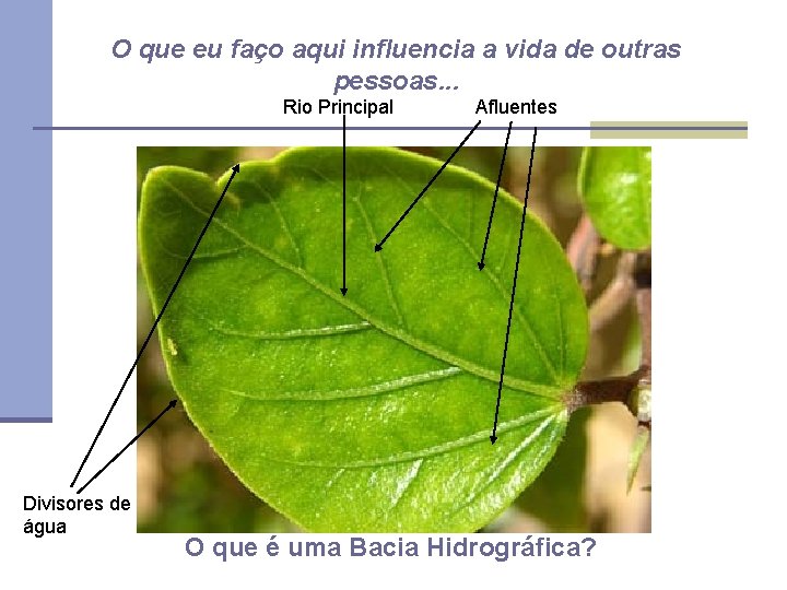 O que eu faço aqui influencia a vida de outras pessoas. . . Rio