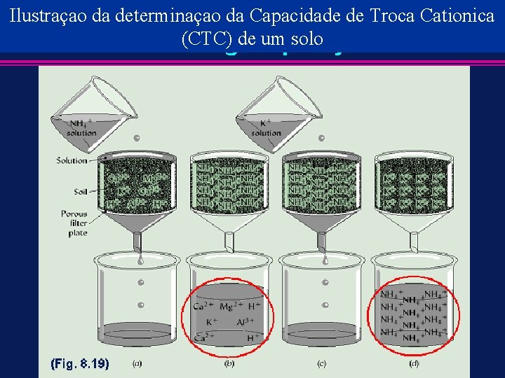 Ilustraçao da determinaçao da Capacidade de Troca Cationica (CTC) de um solo 