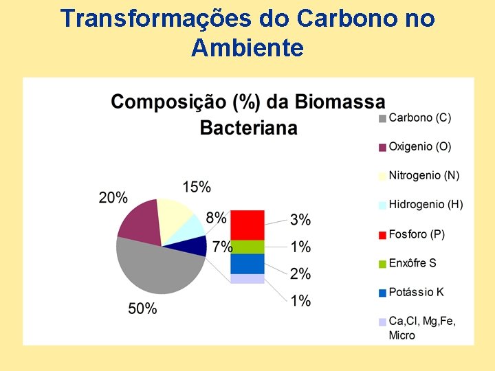 Transformações do Carbono no Ambiente 