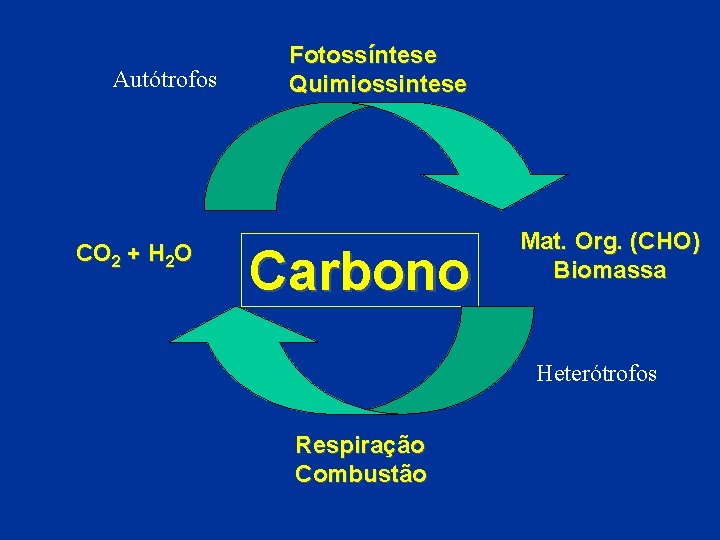 Autótrofos CO 2 + H 2 O Fotossíntese Quimiossintese Carbono Mat. Org. (CHO) Biomassa