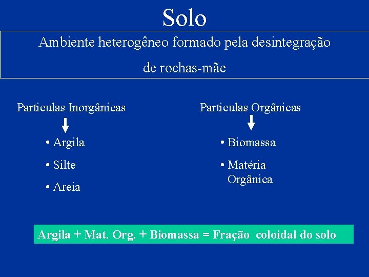 Solo Ambiente heterogêneo formado pela desintegração de rochas-mãe Particulas Inorgânicas Particulas Orgânicas • Argila