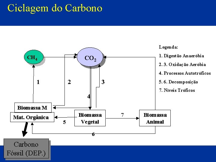 Ciclagem do Carbono Fóssil (DEP. ) 