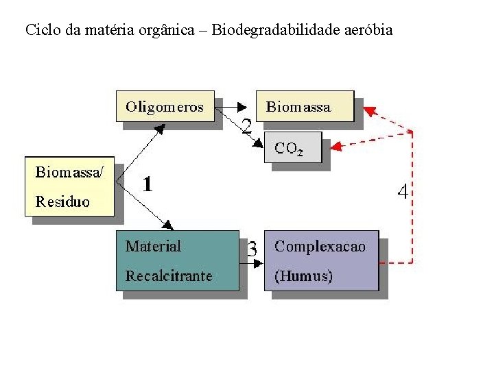 Ciclo da matéria orgânica – Biodegradabilidade aeróbia 