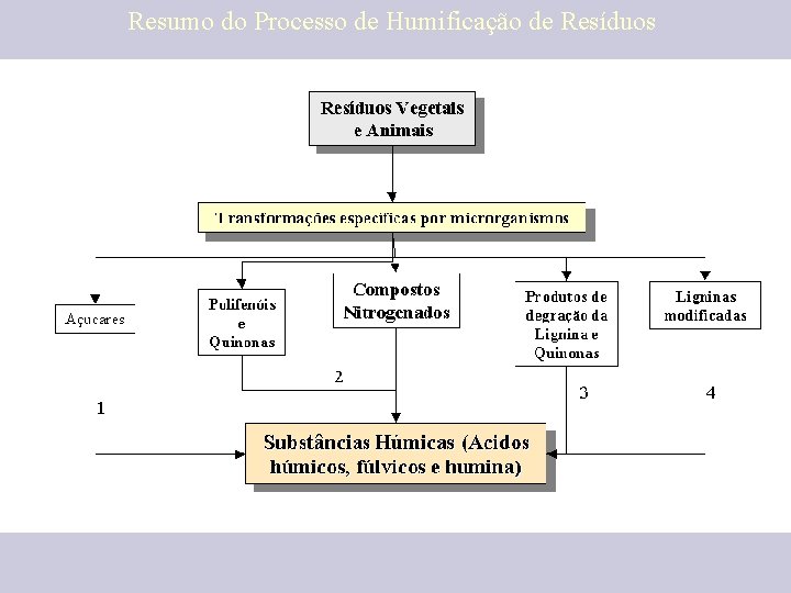 Resumo do Processo de Humificação de Resíduos 