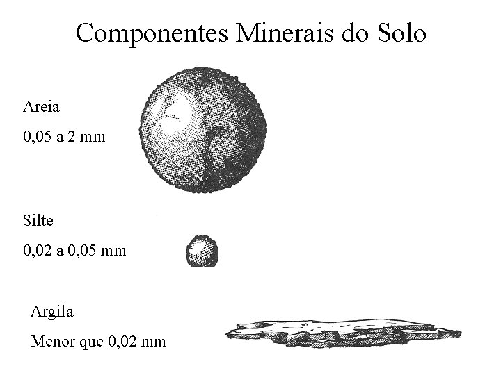Componentes Minerais do Solo Areia 0, 05 a 2 mm Silte 0, 02 a
