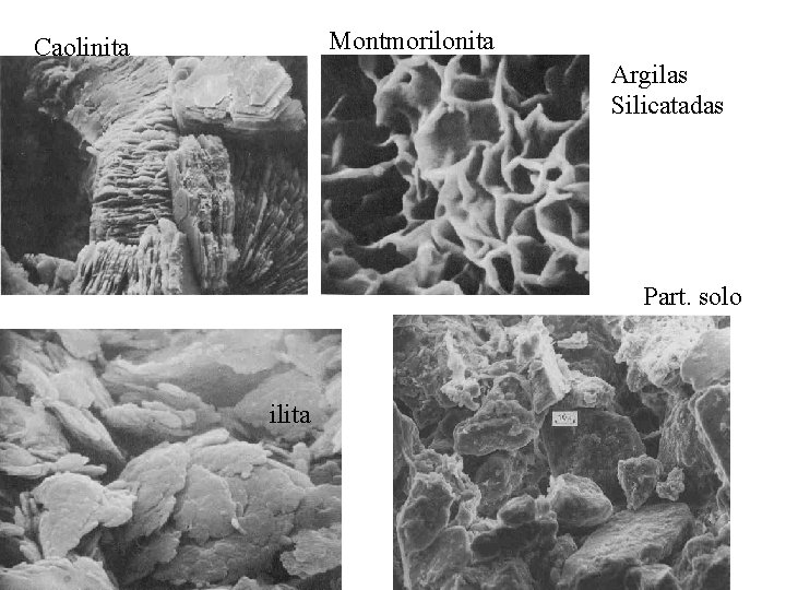 Montmorilonita Caolinita Argilas Silicatadas Part. solo ilita 