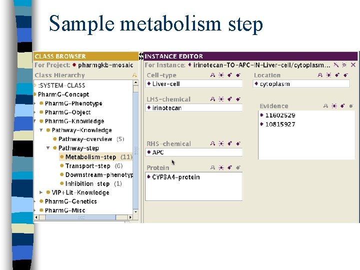 Sample metabolism step 