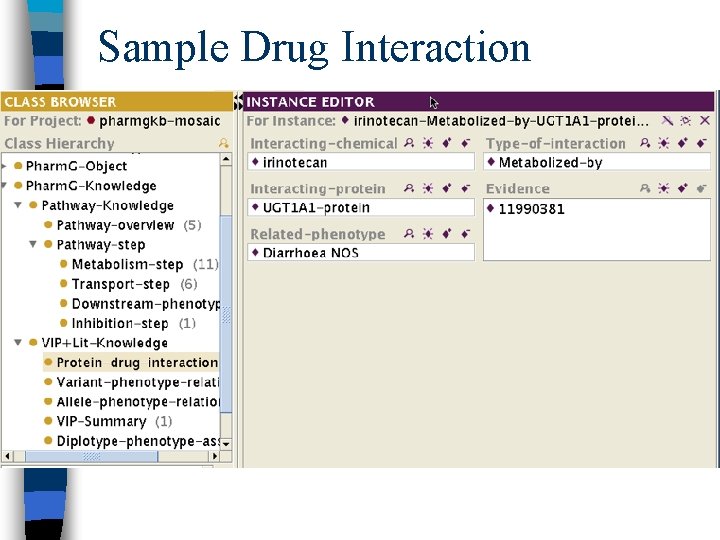 Sample Drug Interaction 