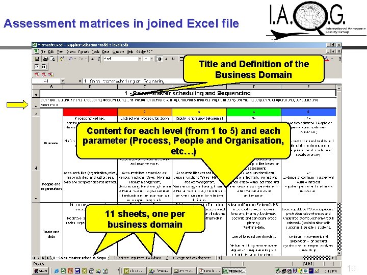 Assessment matrices in joined Excel file Title and Definition of the Business Domain Content