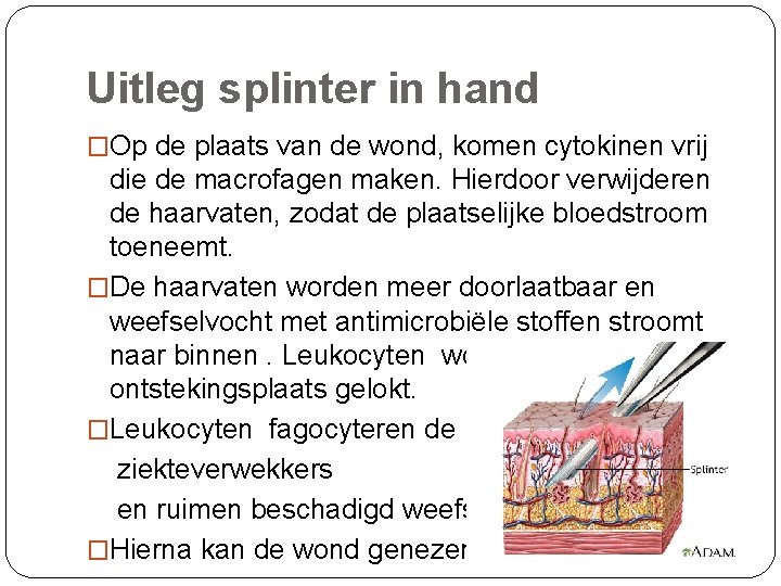 Uitleg splinter in hand �Op de plaats van de wond, komen cytokinen vrij die