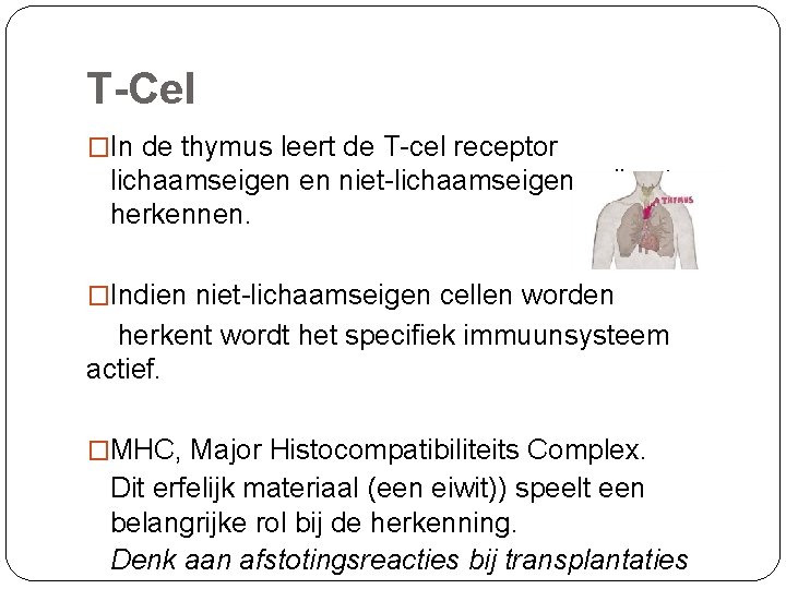 T-Cel �In de thymus leert de T-cel receptor lichaamseigen en niet-lichaamseigen cellen te herkennen.