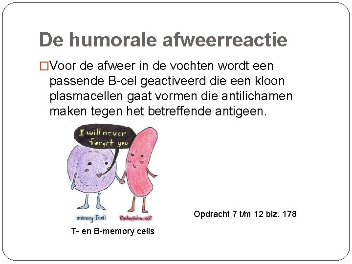 De humorale afweerreactie �Voor de afweer in de vochten wordt een passende B-cel geactiveerd