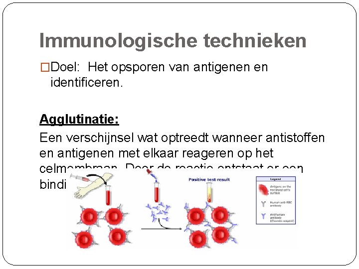 Immunologische technieken �Doel: Het opsporen van antigenen en identificeren. Agglutinatie: Een verschijnsel wat optreedt