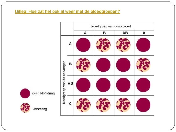 Uitleg: Hoe zat het ook al weer met de bloedgroepen? 