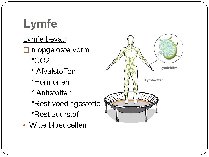 Lymfe bevat: �In opgeloste vorm *CO 2 * Afvalstoffen *Hormonen * Antistoffen *Rest voedingsstoffen