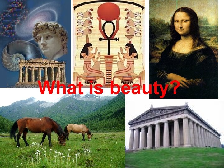 What is beauty? 