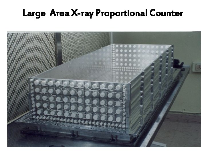 Large Area X-ray Proportional Counter 