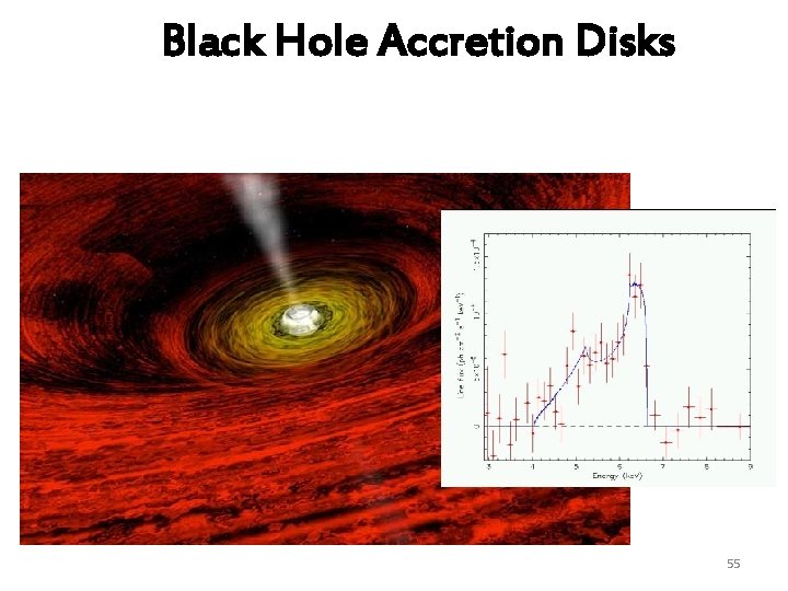 Black Hole Accretion Disks 55 