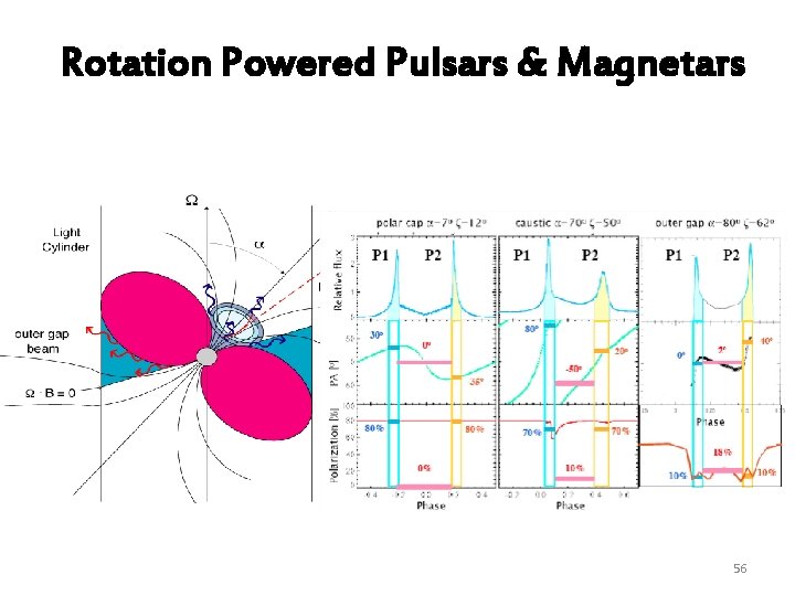 Rotation Powered Pulsars & Magnetars 56 