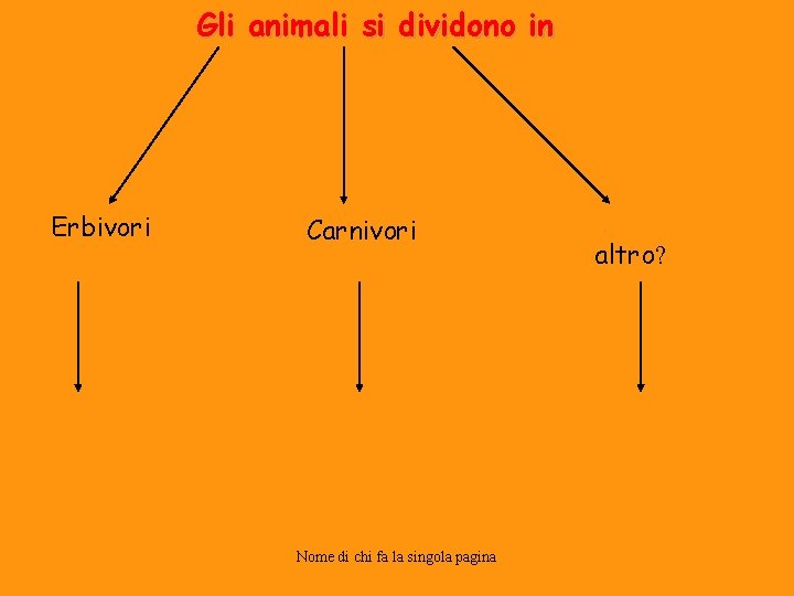 Gli animali si dividono in Erbivori Carnivori Nome di chi fa la singola pagina