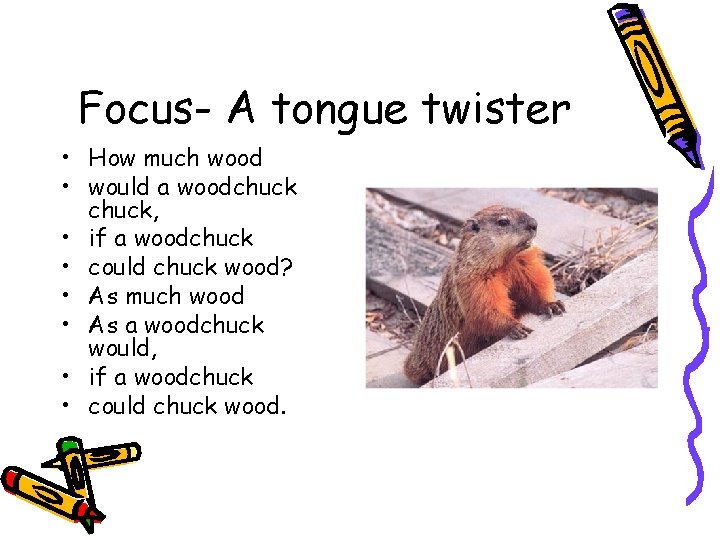 Focus- A tongue twister • How much wood • would a woodchuck, • if