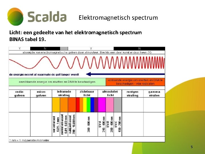 Elektromagnetisch spectrum Licht: een gedeelte van het elektromagnetisch spectrum BINAS tabel 19. 5 