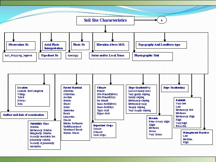 Soil Site Characteristics Observation No Arial Photo Interpretation Soil_Mapping_legend Toposheet No Location Latitude And