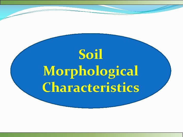 Soil Morphological Characteristics 