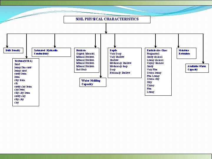 SOIL PHYSICAL CHARACTERISTICS Bulk Density Texture(USDA) Sand loamy fine sand loamy sandy loam silty