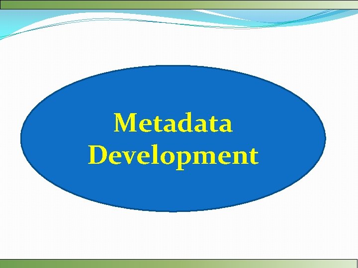 Metadata Development 