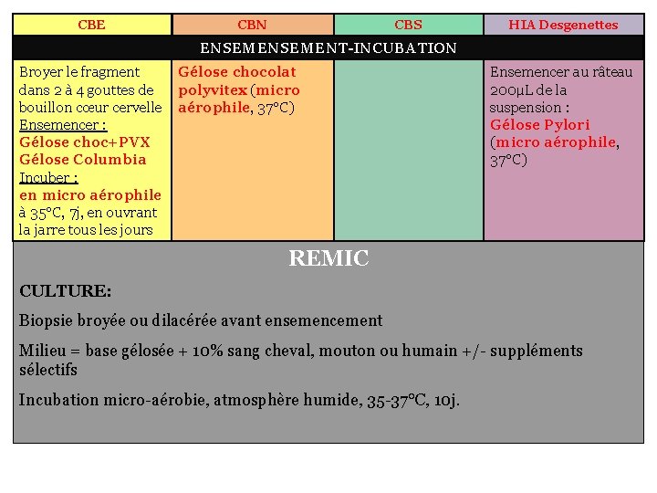 CBE CBN CBS HIA Desgenettes ENSEMENT-INCUBATION Broyer le fragment Gélose chocolat dans 2 à
