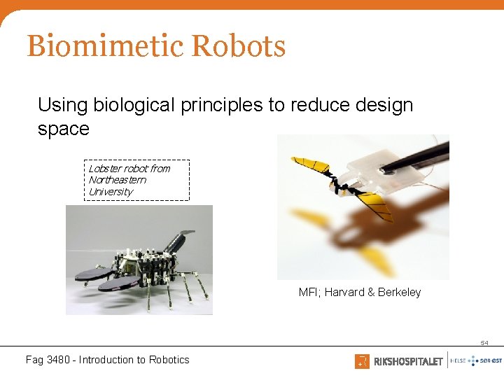 Biomimetic Robots Using biological principles to reduce design space Lobster robot from Northeastern University