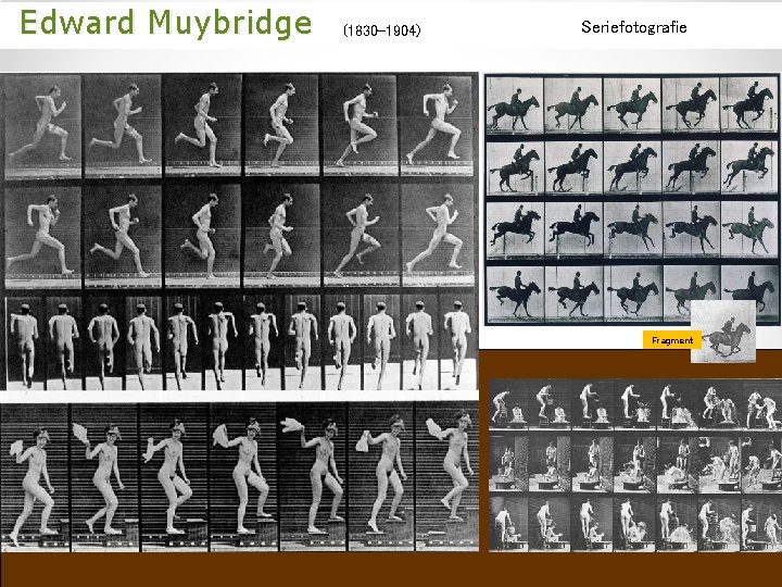  Edward Muybridge (1830 -1904) Seriefotografie Fragment 