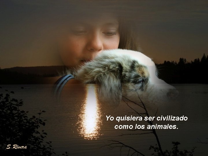 Yo quisiera ser civilizado como los animales. 