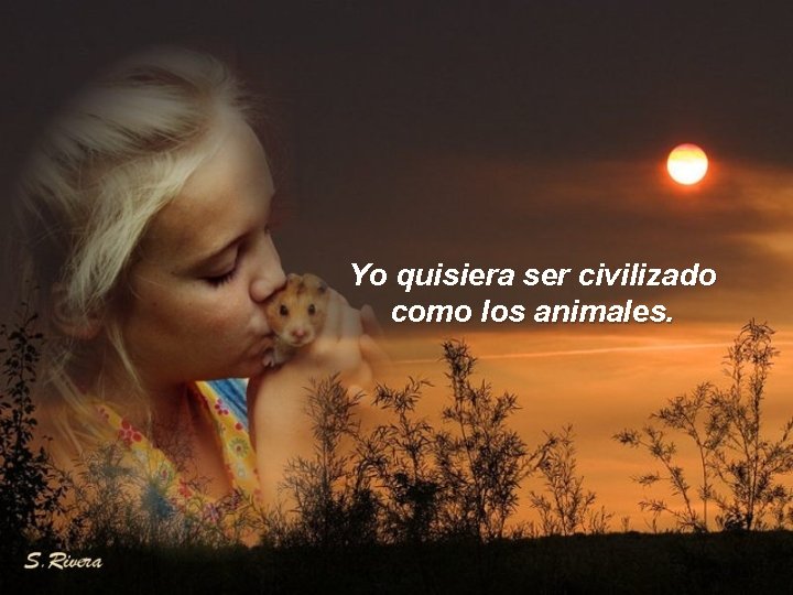 Yo quisiera ser civilizado como los animales. 