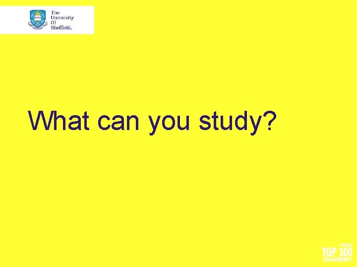 What can you study? 