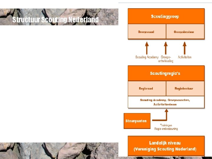 Structuur Scouting Nederland 