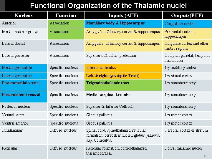 Functional Organization of the Thalamic nuclei Nucleus Function Inputs (AFF) Outputs(EFF) Anterior Association Mamillary Functional Organization of the Thalamic nuclei Nucleus Function Inputs (AFF) Outputs(EFF) Anterior Association Mamillary