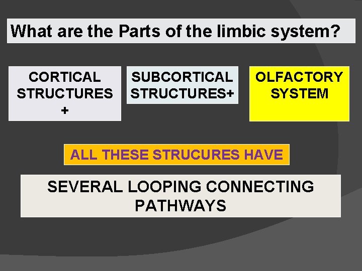 What are the Parts of the limbic system? CORTICAL STRUCTURES + SUBCORTICAL STRUCTURES+ OLFACTORY What are the Parts of the limbic system? CORTICAL STRUCTURES + SUBCORTICAL STRUCTURES+ OLFACTORY
