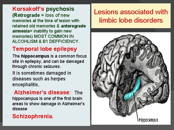  Korsakoff’s psychosis (Retrograde = loss of new memories at the time of lesion